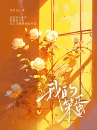 我的笨蛋 封面