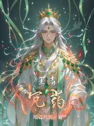 王者冗药 封面