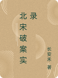 北宋破案实录 封面