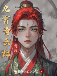 九霄青云记 封面