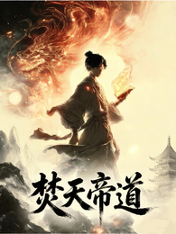 焚天帝道 封面