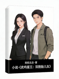 卖鸡蛋王:双胞胎儿女 封面