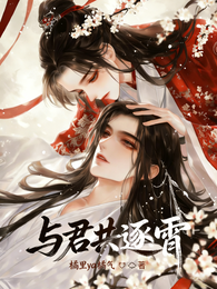与君共逐霄 封面