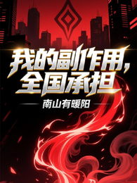 我的副作用，全国承担 封面