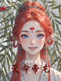 天命帝龙 封面