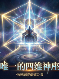 唯一的四维神座 封面
