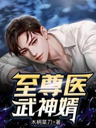 至尊医武神婿 封面
