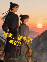村夫,但末世来的 封面