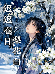 迟迟春日梨花白 封面