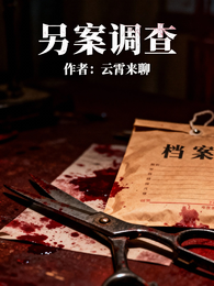 另案调查 封面