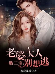 一胎二宝:老婆大人别想逃 封面