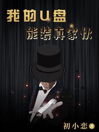 我的u盘能装真家伙 封面