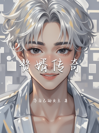 赘婿传奇 封面