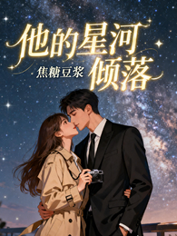 他的星河倾落 封面