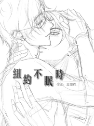 纽约不眠时 封面