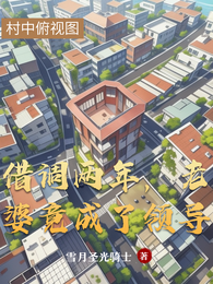 借调两年，老婆竟成了领导 封面