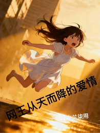 网王从天而降的爱情 封面
