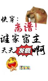 快穿：离谱！谁家宿主天天发疯啊 封面