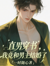 直男穿书,我竟和男主结婚了 封面