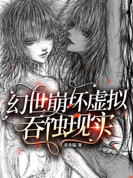 幻世崩坏：虚拟吞蚀现实 封面