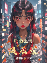 职场逐梦风云录 封面