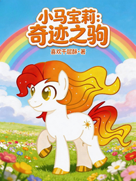 小马宝莉：奇迹之驹 封面