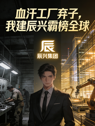 血汗工厂弃子，我建辰兴霸榜全球 封面