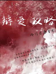 辩爱攻略 封面