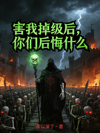 害我掉级后,你们后悔什么 封面