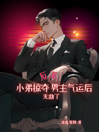 反派：小弟掠夺男主气运后无敌了 封面