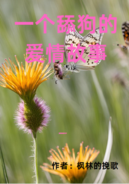一个舔狗的爱情故事 封面
