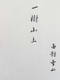 一树山上 封面