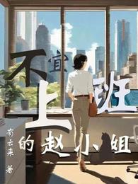 不宜上班的赵小姐 封面
