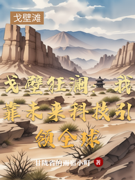 戈壁狂澜：我靠未来科技引领全球 封面