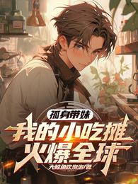 孤身带妹，我的小吃摊火爆全球 封面