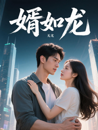 婿如龙 封面