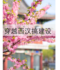 穿越西汉搞建设 封面