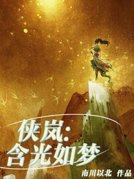 侠岚:含光如梦 封面