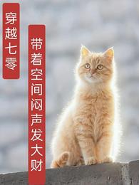 穿越70,带着空间闷声发大财 封面