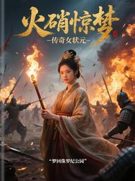 火硝惊梦传奇女状元 封面