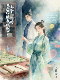 王爷,你的bug被我找到了 封面