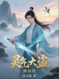 灵气大盗修仙传 封面