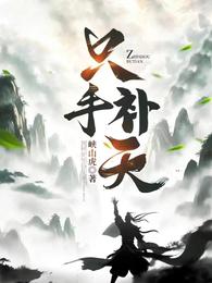 只手补天 封面