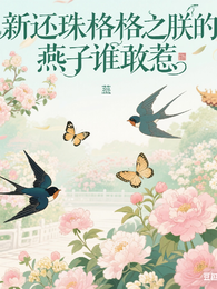 新还珠格格之朕的燕子谁敢惹 封面