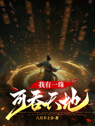 我有一珠，可吞天地 封面