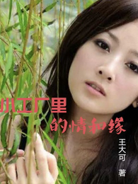 小工厂里的情和缘 封面