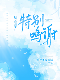 综名学：特别鸣谢 封面