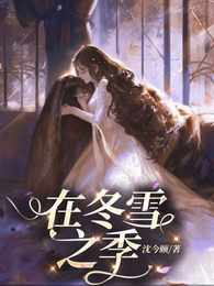 在冬雪之季 封面