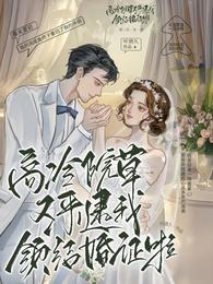 高冷院草又来逮我领结婚证啦！ 封面