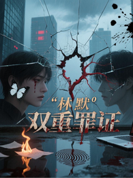 双重罪证 封面